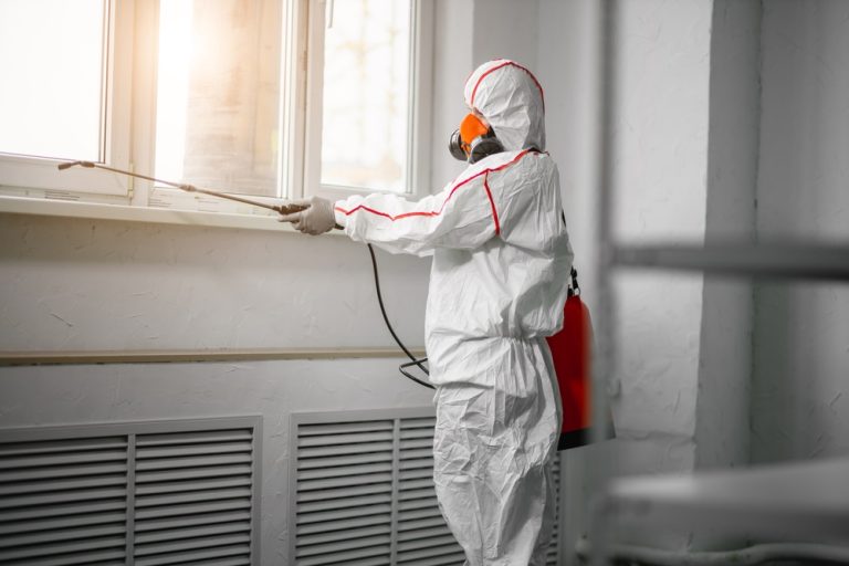 Expert Mold Removal Solutions Safeguard Families From Airborne Allergens And Toxins