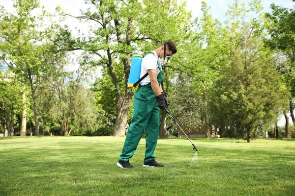Affordable Lawn Pest Control for Year-Round Yard Safety