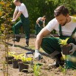 Trusted Landscaping Services in Casselberry with Proven Results