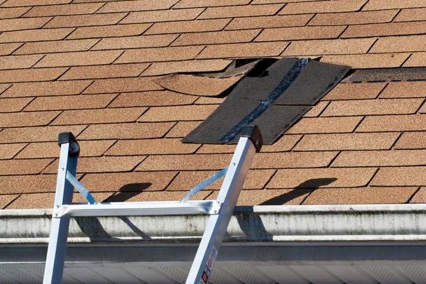 Roof Repair vs Roof Replacement Which One Do You Need