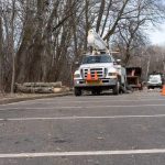 Tree Removal Services Near Me Quick & Safe Tree Solutions