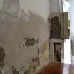 Top Water Damage Restoration and Repair Services for Homes and Businesses
