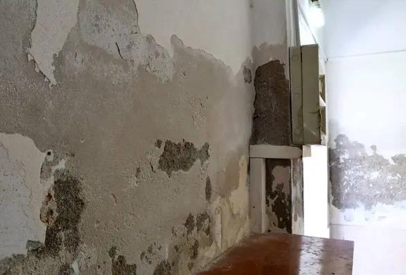 Top Water Damage Restoration and Repair Services for Homes and Businesses