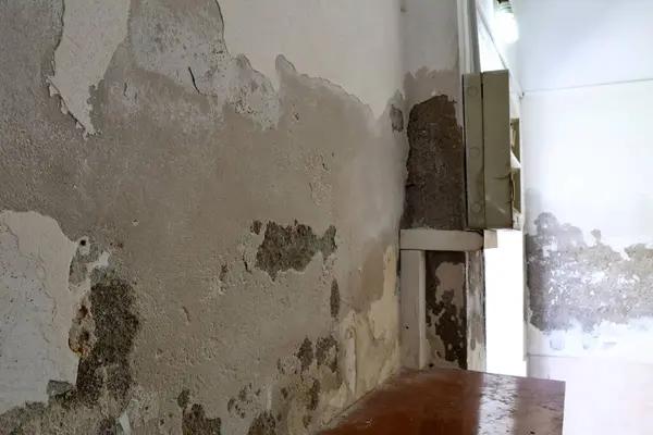 Top Water Damage Restoration and Repair Services for Homes and Businesses