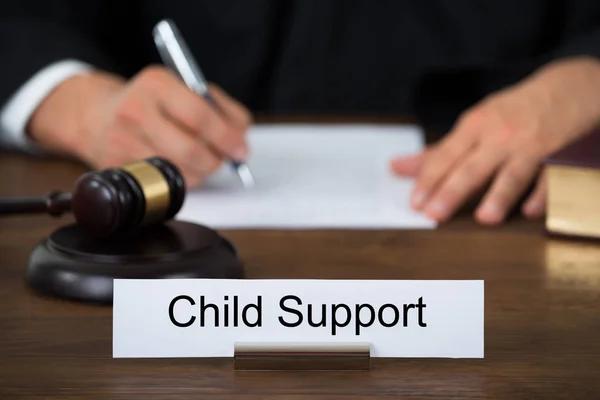 Experienced Child Support Lawyer for Your Family Law Needs