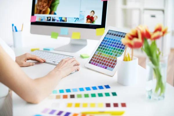 Interior Designer Services for Modern Home Transformations
