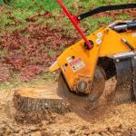 Expert Tips for Preparing Your Yard with Stump Grinding Before Fencing