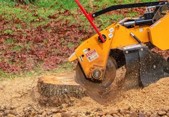 Expert Tips for Preparing Your Yard with Stump Grinding Before Fencing