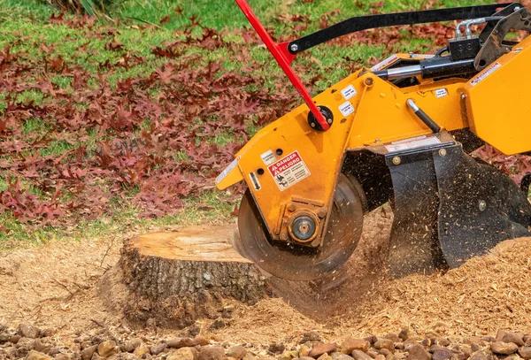 Expert Tips for Preparing Your Yard with Stump Grinding Before Fencing