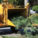 Complete Tree Care Solutions for Every Season