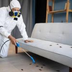 Effective Lawn Pest Control Treatments to Protect Your Grass and Outdoor Space