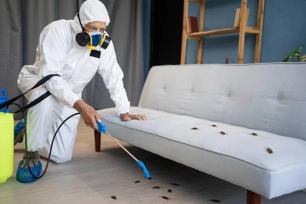 Effective Lawn Pest Control Treatments to Protect Your Grass and Outdoor Space