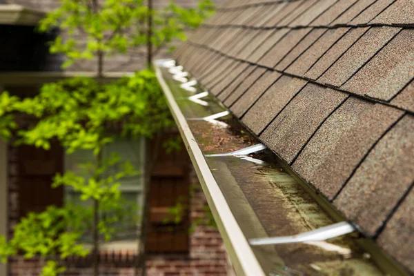 Professional Gutter Cleaning Solutions for Property Owners